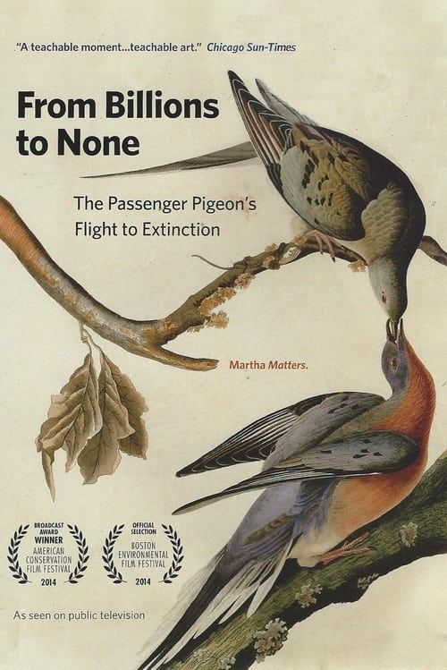 Key visual of From Billions to None: The Passenger Pigeon's Flight to Extinction