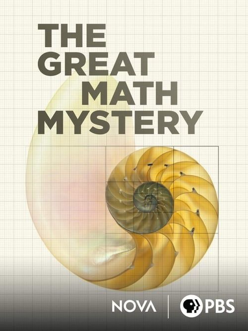Key visual of NOVA: The Great Math Mystery
