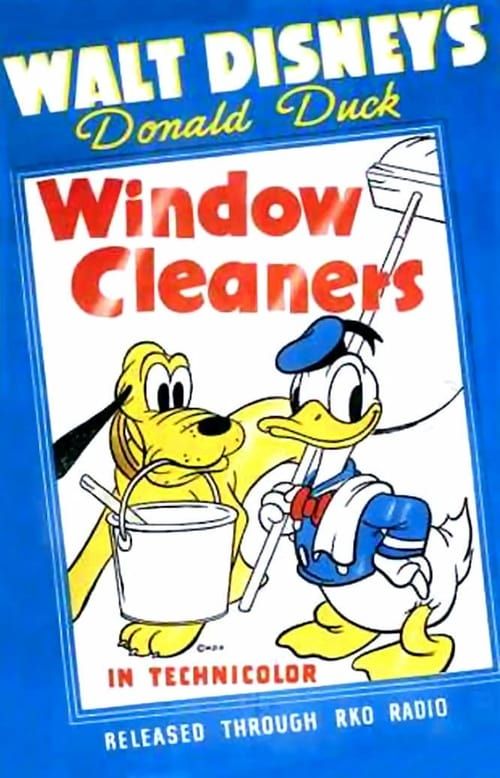 Key visual of Window Cleaners