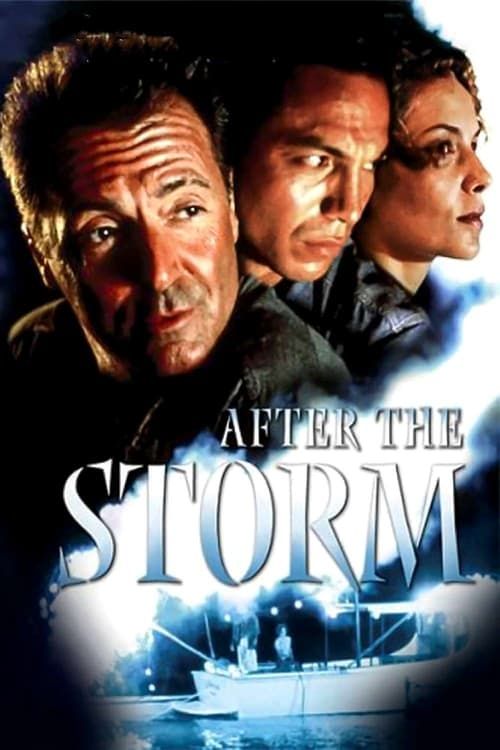 Key visual of After the Storm