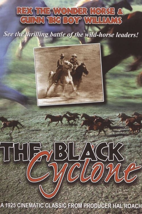 Key visual of Black Cyclone