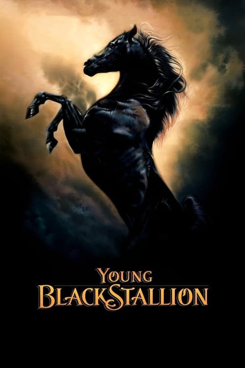 Key visual of Young Black Stallion