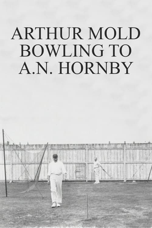 Key visual of Arthur Mold Bowling to A.N. Hornby