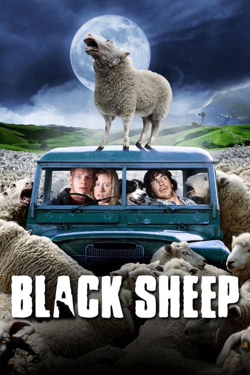 Key visual of Black Sheep