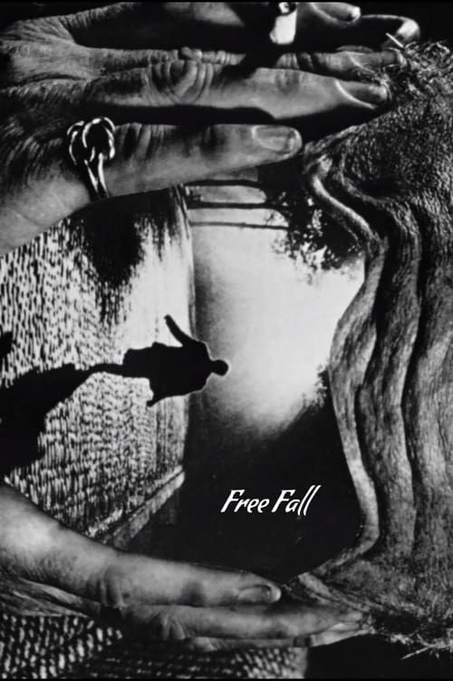 Key visual of Free Fall