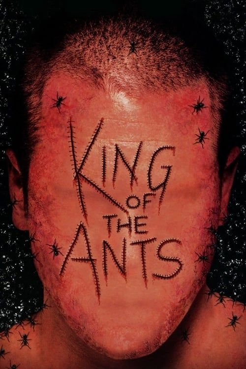 Key visual of King of the Ants