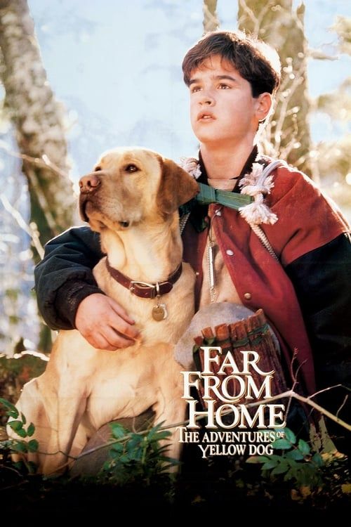 Key visual of Far from Home: The Adventures of Yellow Dog