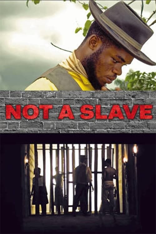 Key visual of Not a Slave