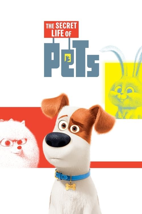 Key visual of The Secret Life of Pets