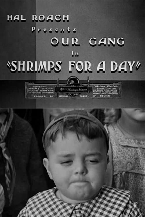 Key visual of Shrimps for a Day