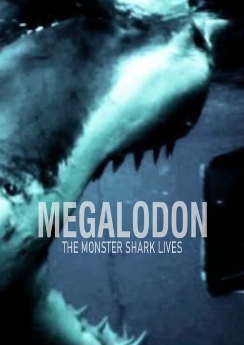 Key visual of Megalodon: The Monster Shark Lives