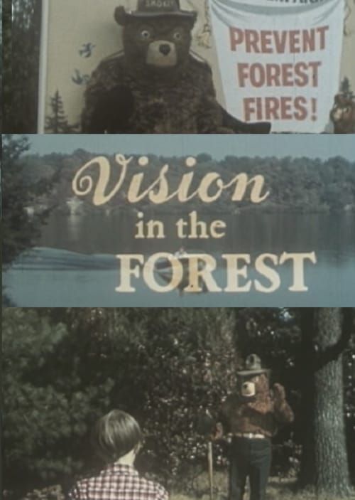 Key visual of Vision In The Forest