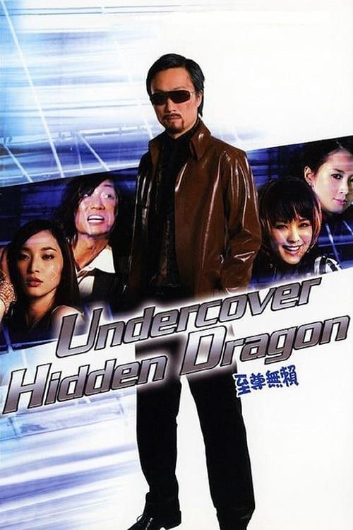 Key visual of Undercover Hidden Dragon