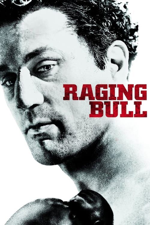 Key visual of Raging Bull