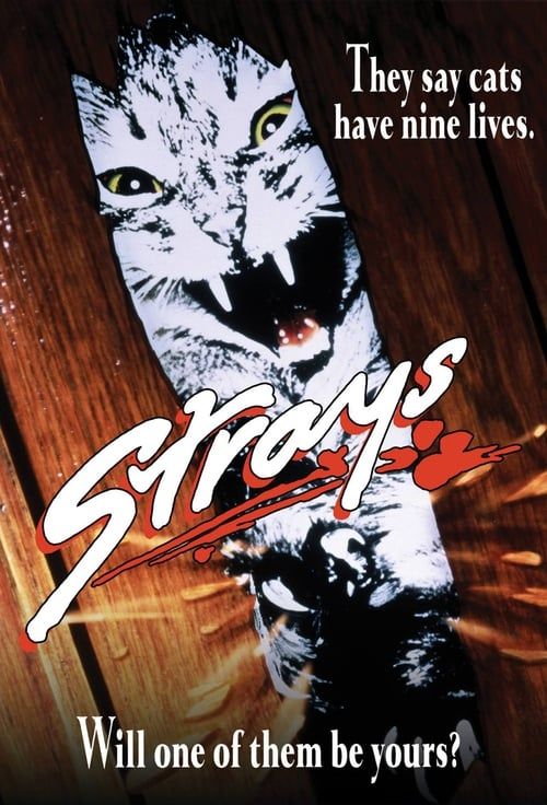 Key visual of Strays