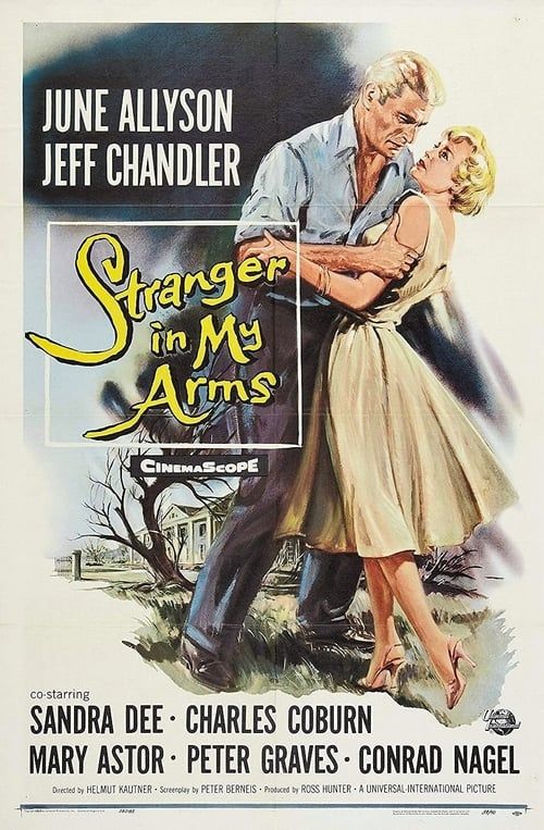 Key visual of A Stranger in My Arms