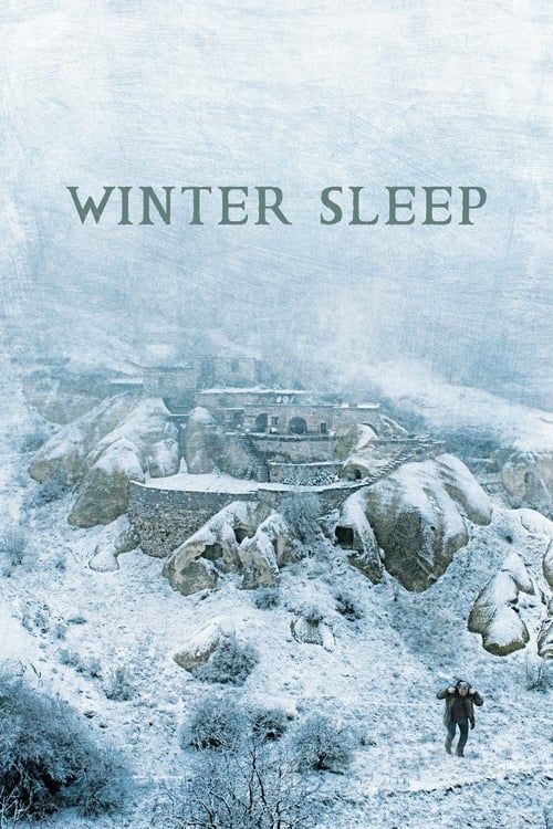 Key visual of Winter Sleep