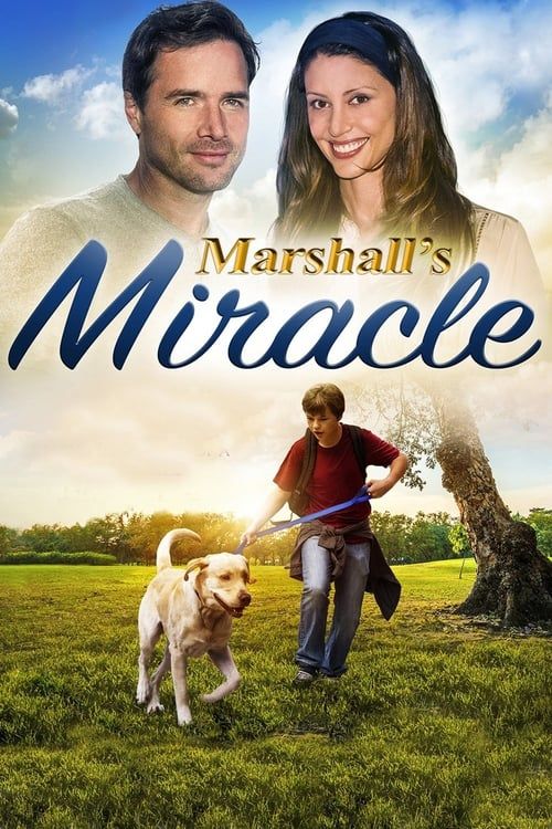 Key visual of Marshall's Miracle
