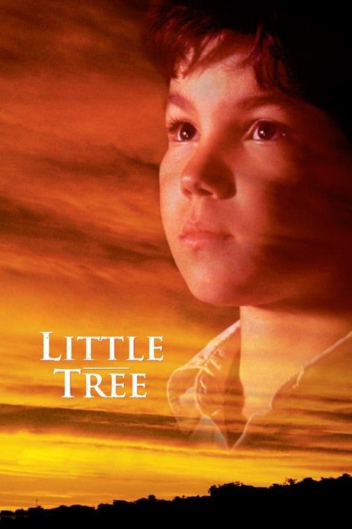 Key visual of The Education of Little Tree