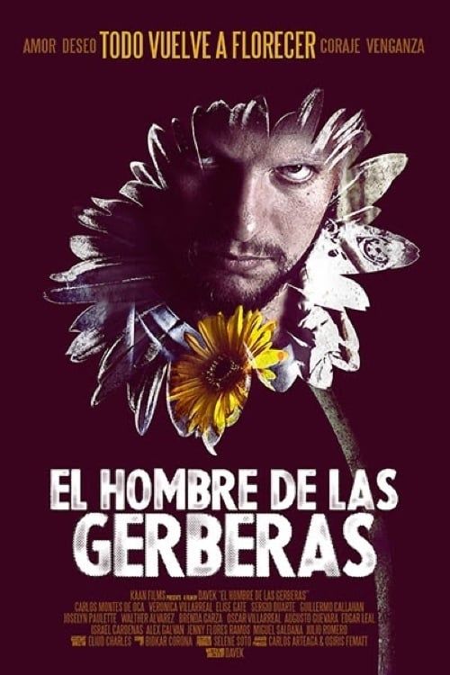 Key visual of The Man of the Gerberas