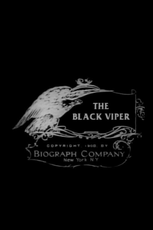Key visual of The Black Viper