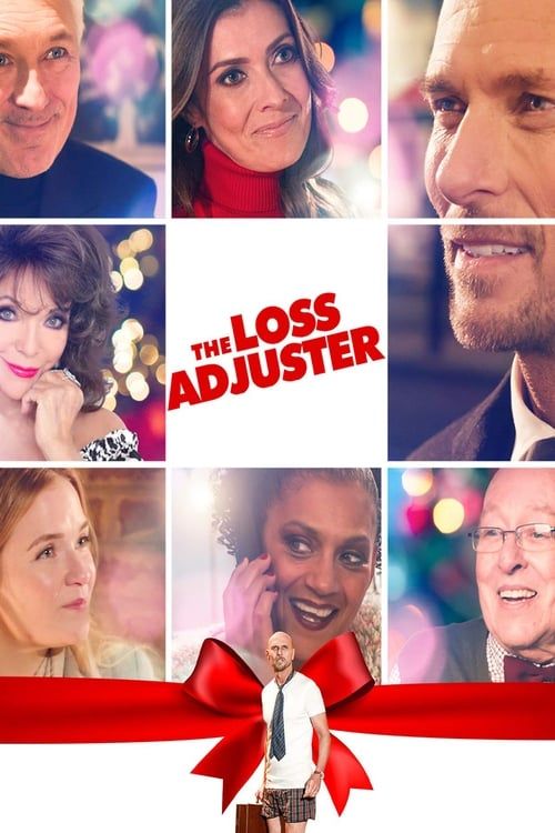 Key visual of The Loss Adjuster