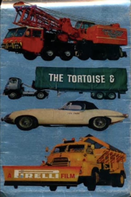 Key visual of The Tortoise and the Hare