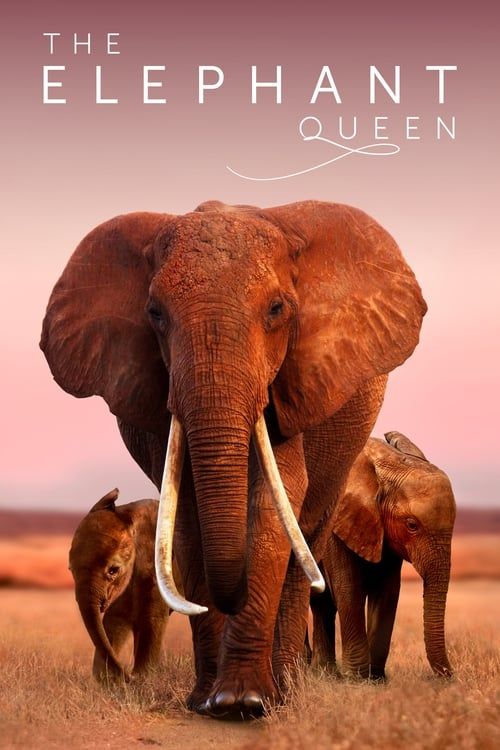 Key visual of The Elephant Queen