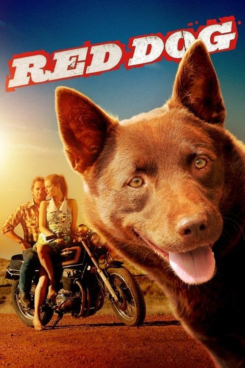 Key visual of Red Dog