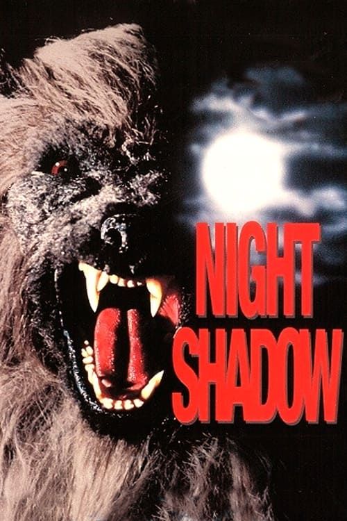 Key visual of Night Shadow