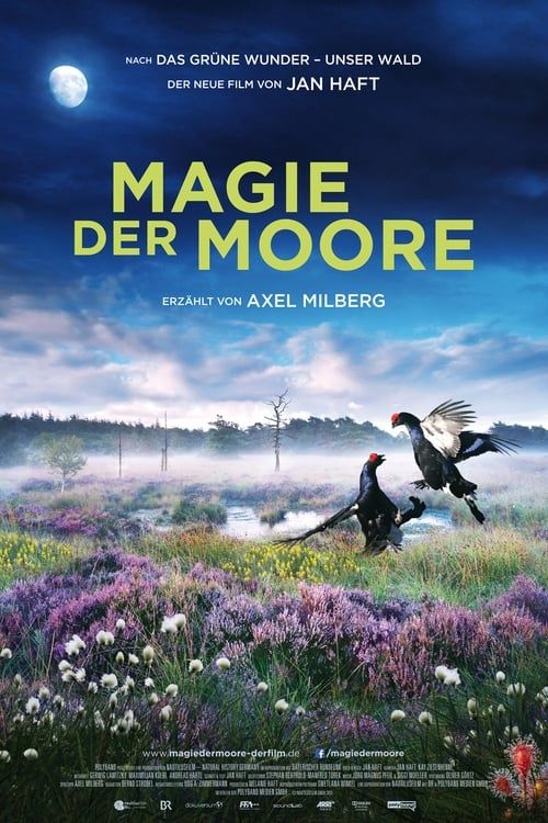 Key visual of Magie der Moore