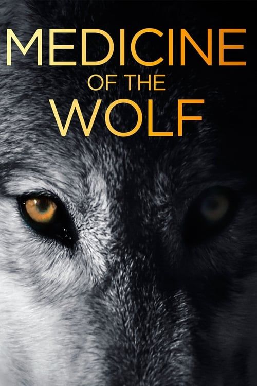 Key visual of Medicine of the Wolf