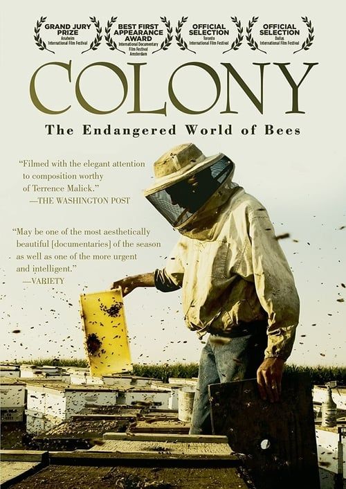 Key visual of Colony