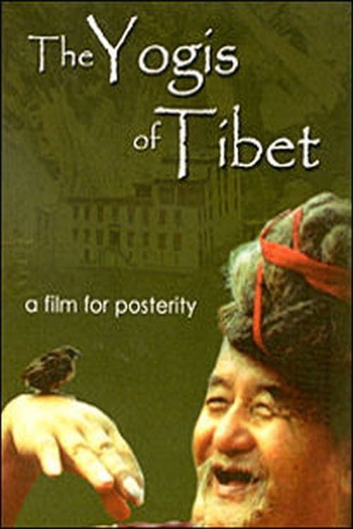 Key visual of The Yogis of Tibet