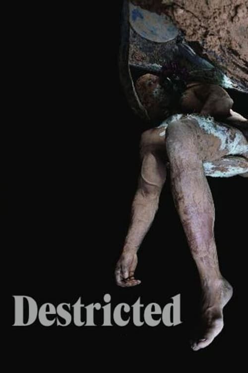 Key visual of Destricted