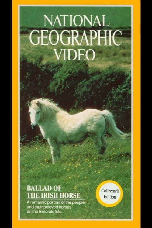 Key visual of Ballad of the Irish Horse