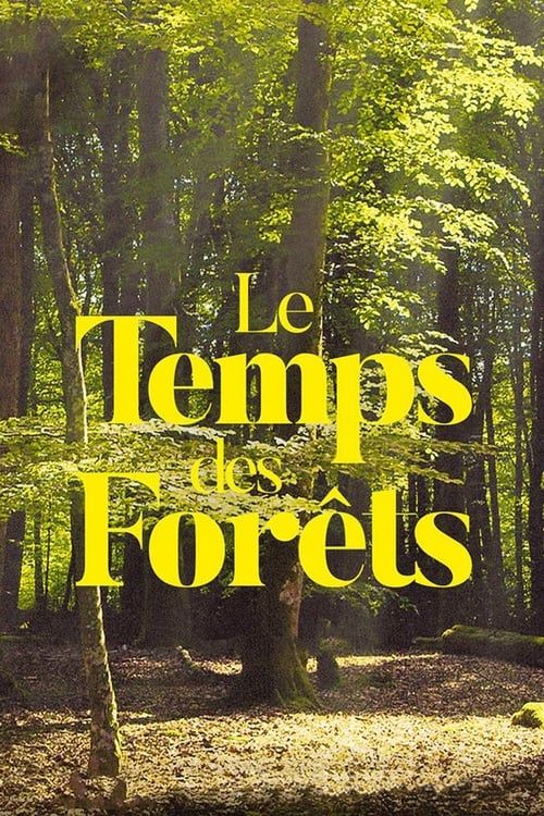 Key visual of The Time of Forests