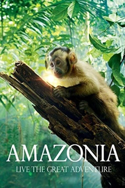 Key visual of Amazonia