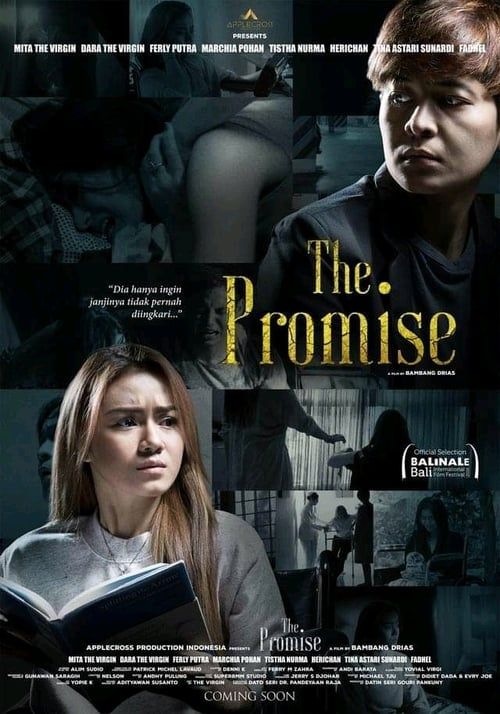 Key visual of The Promise