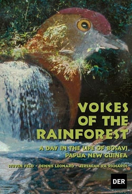 Key visual of Voices of the Rainforest: A Day in the Life of Bosavi