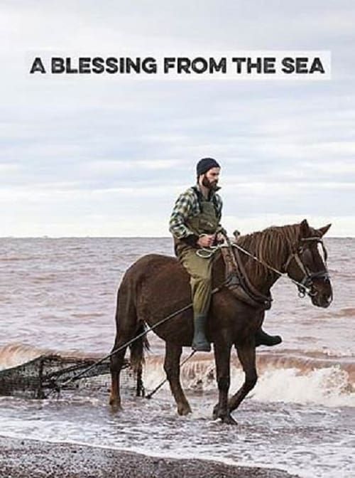 Key visual of A Blessing from the Sea