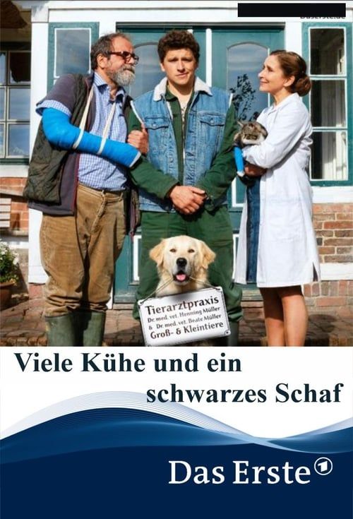 Key visual of Viele Kühe und ein schwarzes Schaf