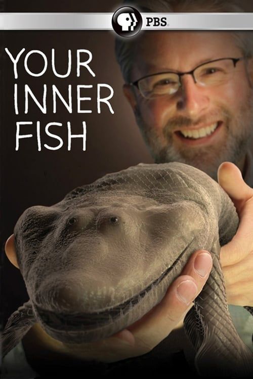 Key visual of Your Inner Fish