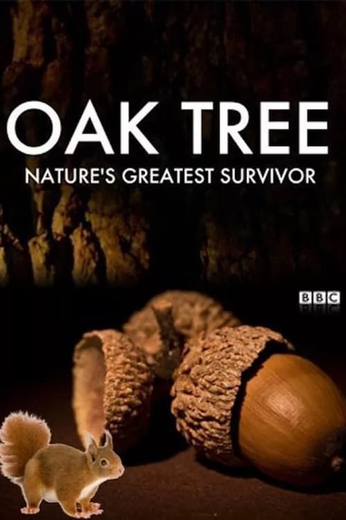Key visual of Oak Tree: Nature's Greatest Survivor