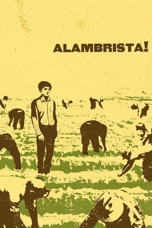 Key visual of Alambrista!