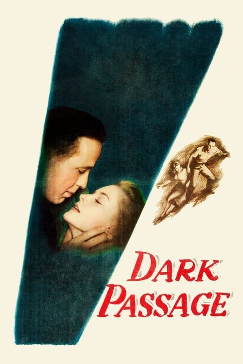Key visual of Dark Passage