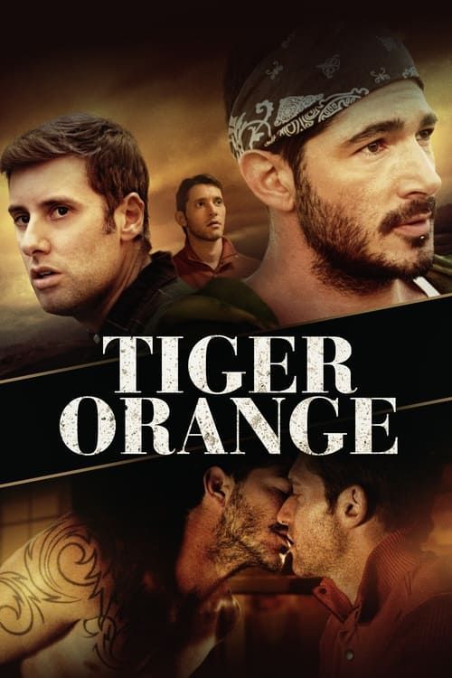 Key visual of Tiger Orange