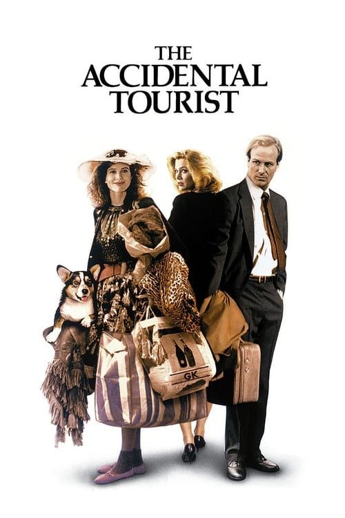 Key visual of The Accidental Tourist