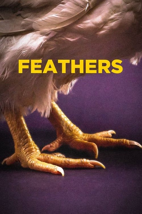 Key visual of Feathers