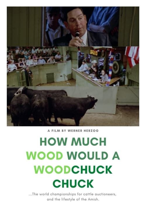 Key visual of How Much Wood Would a Woodchuck Chuck